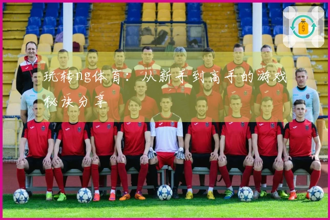 玩转ng体育：从新手到高手的游戏秘诀分享