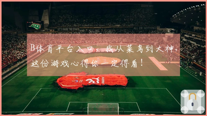 B体育平台入口，我从菜鸟到大神，这份游戏心得你一定得看！