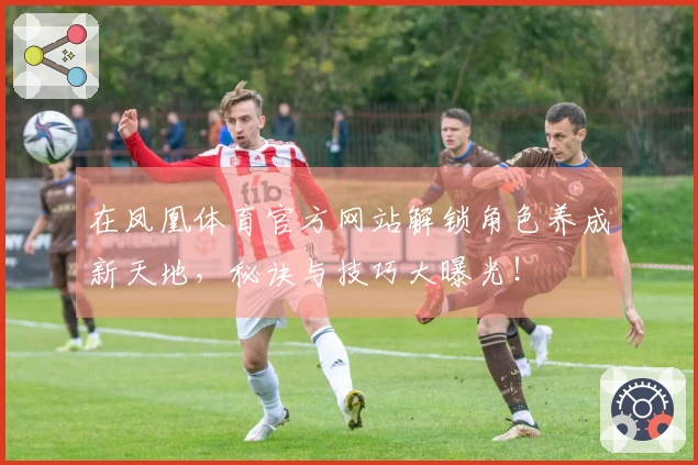 在凤凰体育官方网站解锁角色养成新天地，秘诀与技巧大曝光！